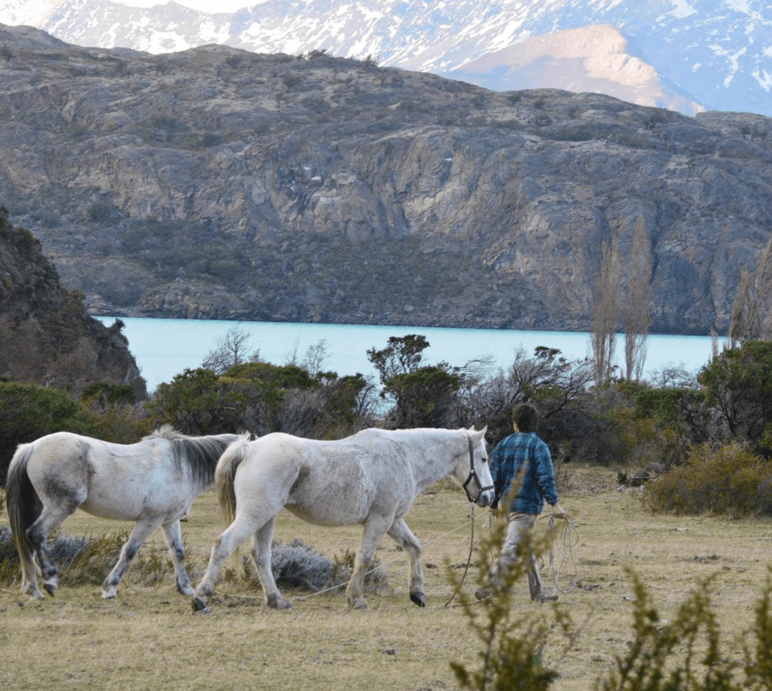 Jaime Smart, psicólogo